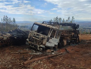CAM se adjudica quema de camión en nuevo ataque a faena forestal en Cholchol