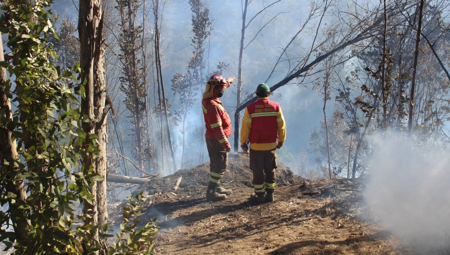 Buscan mitigar el riesgo de incendios forestales en instalación de viviendas sociales en Valparaíso