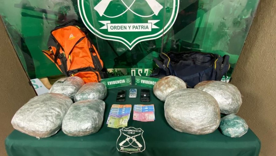 13 mil dosis de marihuana fueron incautadas gracias al olfato de perros detectores de droga en Nogales