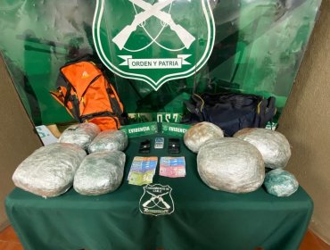 13 mil dosis de marihuana fueron incautadas gracias al olfato de perros detectores de droga en Nogales