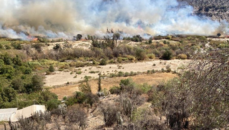 Declaran Alerta Roja para Monte Patria por incendio forestal que ya ha afectado viviendas: 5 hectáreas han sido consumidas