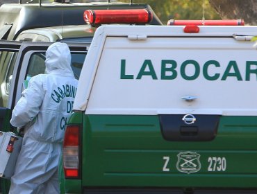 Macabro hallazgo en Quillota: Hombre fue encontrado colgando de un árbol cerca del río Aconcagua