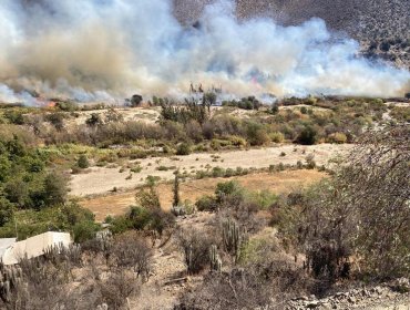 Declaran Alerta Roja para Monte Patria por incendio forestal que ya ha afectado viviendas: 5 hectáreas han sido consumidas