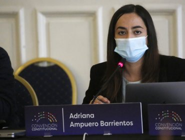 Convencional Ampuero llevará a su par Montealegre ante el Comité de Ética tras calificarla de "pequeño cerebro"
