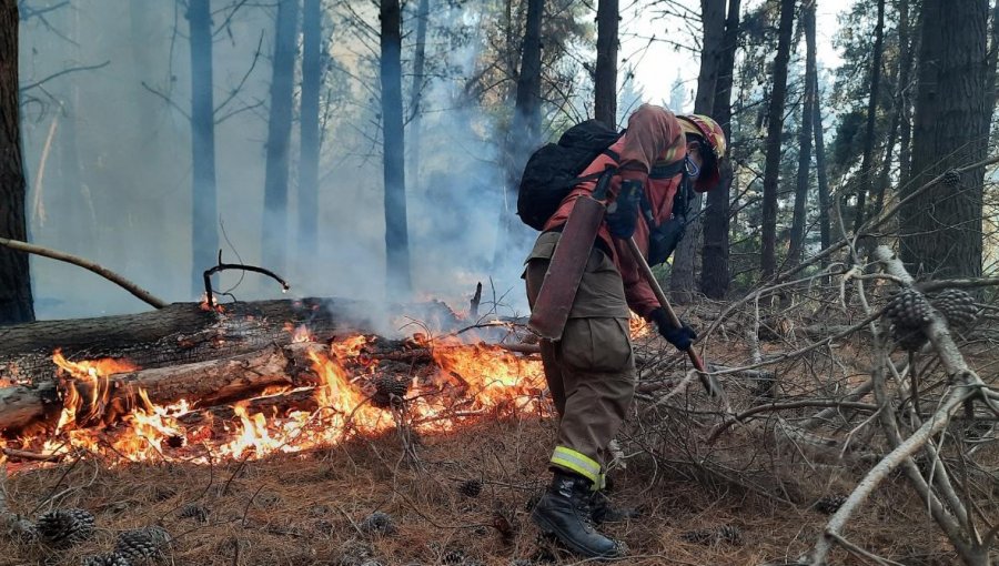 Conaf llama a prevenir incendios forestales durante el fin de semana largo en la región de Valparaíso