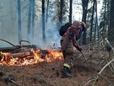Conaf llama a prevenir incendios forestales durante el fin de semana largo en la región de Valparaíso