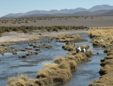 Este jueves concluyen los alegatos orales ante la Corte de La Haya por uso de las aguas del río Silala