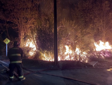 Incendio de pastizales estuvo a metros de alcanzar una vivienda en Putaendo: Bomberos evitó una tragedia
