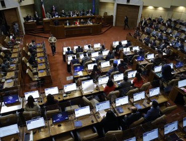 Así votaron los 16 diputados de la región de Valparaíso los dos proyectos de retiro de fondos de pensiones