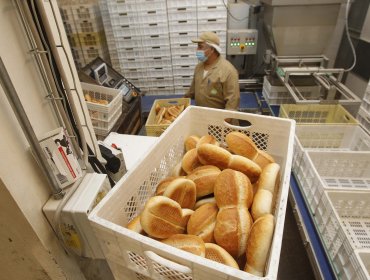 Diputados aprueban proyecto que propone al Gobierno establecer un subsidio para disminuir y controlar el precio del pan
