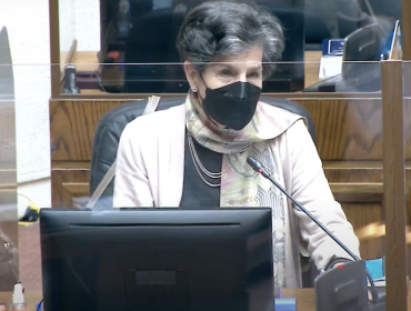 Allende y proyecto que retiene recursos a deudores de pensión alimenticia: “Debemos terminar con la violencia económica"