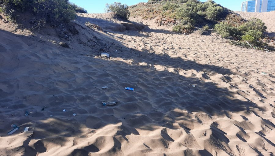 Alcalde de Concón propone cerrar acceso a visitantes de las dunas ante constantes daños: kilos de basura son extraídos diariamente