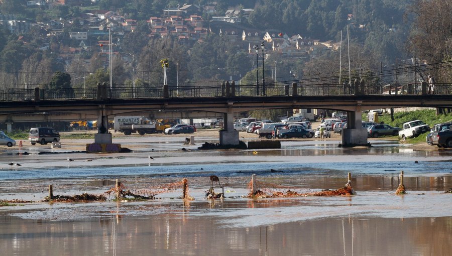 Automóvil cae al estero Marga Marga: ocupantes fueron rescatados por bomberos