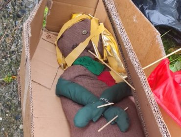 Investigan amenaza contra alcaldesa de Valdivia: hallan ataúd de cartón y muñeco tipo vudú en acceso al municipio