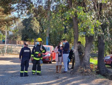 Emergencia química en Panquehue: Alumnos y profesores deben evacuar colegio tras uso de producto químico en predio agrícola cercano