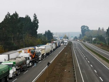Camioneros paralizan el tránsito en la ruta 5 Sur a la altura de Duqueco: Gobierno no descarta intervenir legalmente