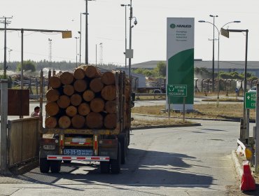 Planta de Celúlosa Arauco sufre explosión y amago de incendio en Nueva Aldea