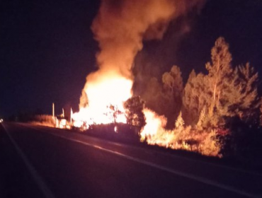 Siguen los ataques incendiarios en el sur del país: Ahora queman dos casas en Antiquina