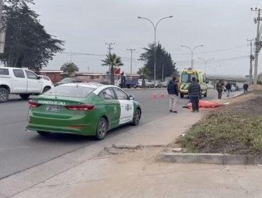 Hombre falleció tras ser atropellado por camión que perdió el control y se subió a vereda en Coquimbo