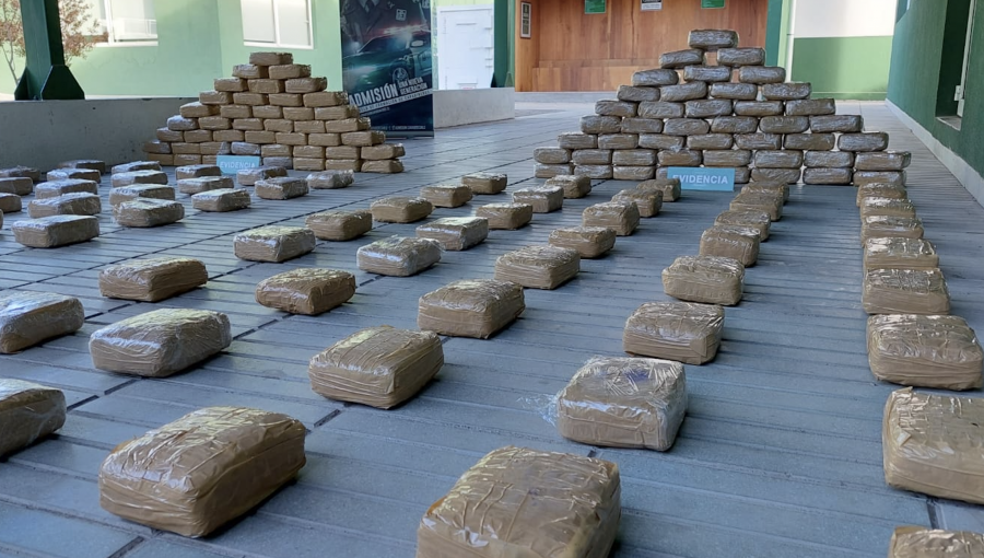 Operativo antidrogas en La Ligua permite sacar de circulación marihuana "creepy" avaluada en más de $1.000 millones