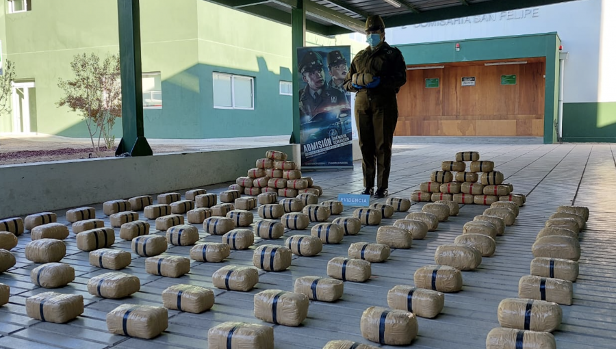 Control vehicular en Papudo permite incautación de marihuana tipo cripy avaluada en $800 millones