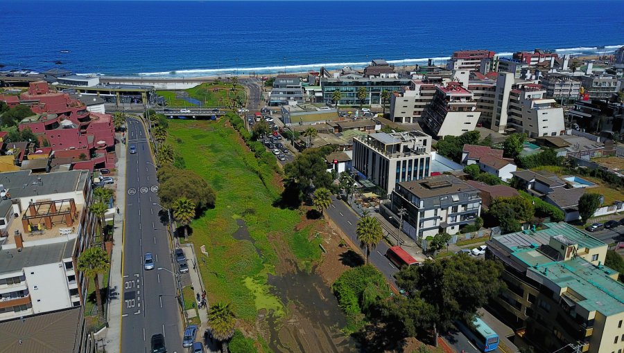 Viña del Mar destaca recorridos que valoran el Patrimonio Natural de Montemar y del estero de Reñaca como humedal