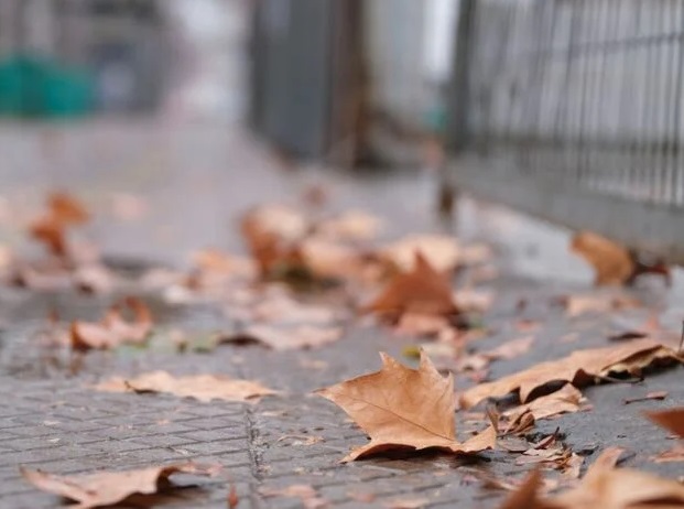 Declaran Alerta Temprana Preventiva para la región de La Araucanía por lluvia y "viento normal a moderado"