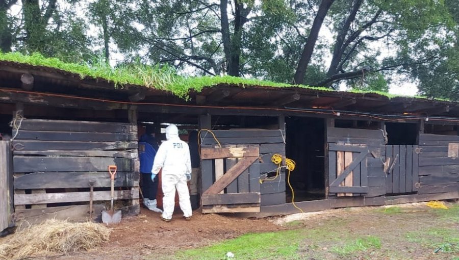 Hombre confesó a sus hijas que asesinó a su esposa hace 24 años en Osorno: PDI halla osamentas y vestimentas