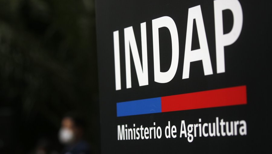Director de Indap de Los Ríos renuncia ante sumario por maltrato laboral