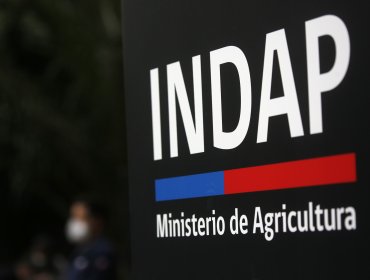 Director de Indap de Los Ríos renuncia ante sumario por maltrato laboral