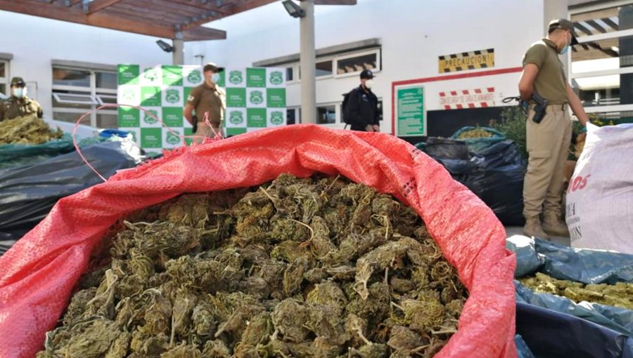 Más de una tonelada de marihuana procesada fue decomisada en Ovalle: dos personas fueron detenidas