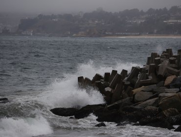 Fuertes vientos y marejadas deja temporal en Valparaíso y Viña del Mar: reportan voladura de techos y caída de árboles