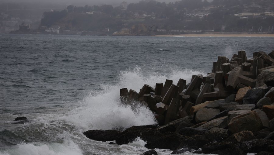 Fuertes vientos y marejadas deja temporal en Valparaíso y Viña del Mar: reportan voladura de techos y caída de árboles