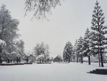 Unas 1.600 personas se encuentran aisladas debido a la gran cantidad de nieve caída en las últimas horas en Lonquimay