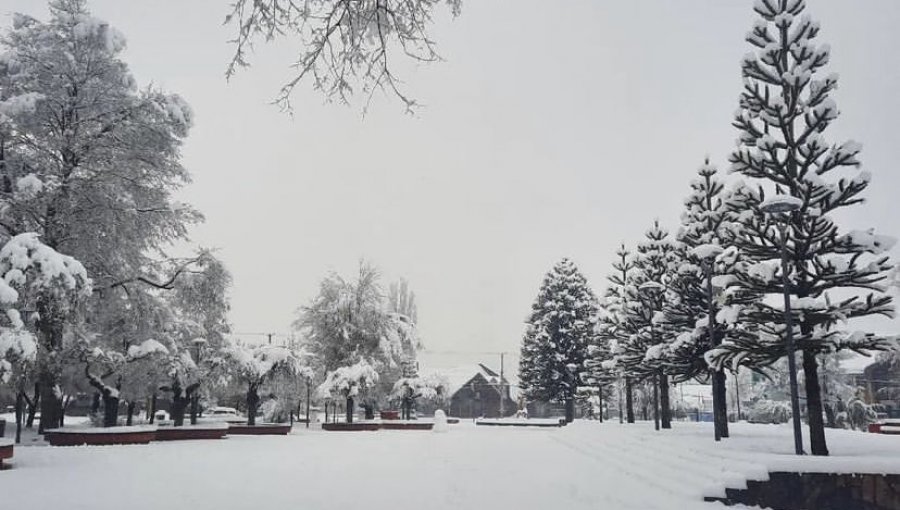 Unas 1.600 personas se encuentran aisladas debido a la gran cantidad de nieve caída en las últimas horas en Lonquimay