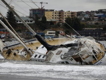 La otra cara de la esperada lluvia en el Gran Valparaíso: temporal provocó hundimiento de lanchas, voladura de techos y caída de árboles