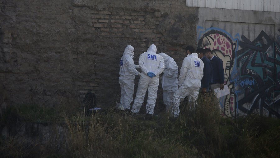 Macabro hallazgo en Llanquihue: encuentran cuerpo de adulta mayor de 86 años con lesiones provocadas por animales