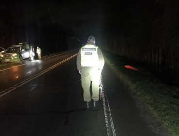 Investigan fatal atropello registrado en la ruta que conecta Valdivia con Paillaco