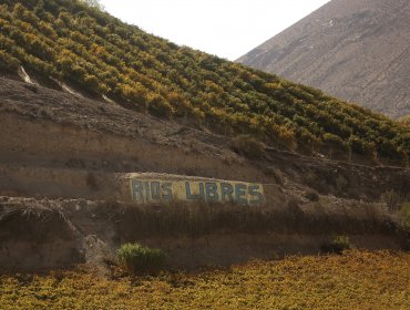 Emergencia agrícola se extiende por seis meses más en la Región de Coquimbo