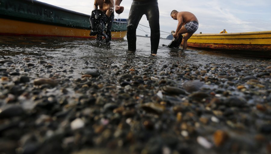 Rescatan a seis tripulantes de lancha que quedó a la deriva en Ancud