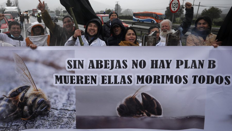 Apicultores se manifestaron y llamaron al Gobierno para que se haga parte y de soluciones a la crisis del rubro