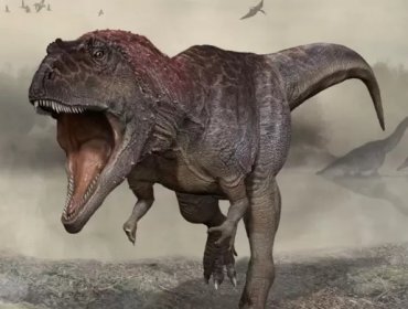 El hallazgo que aporta nuevos detalles sobre por qué los Tyrannosaurus rex tenían los brazos pequeños