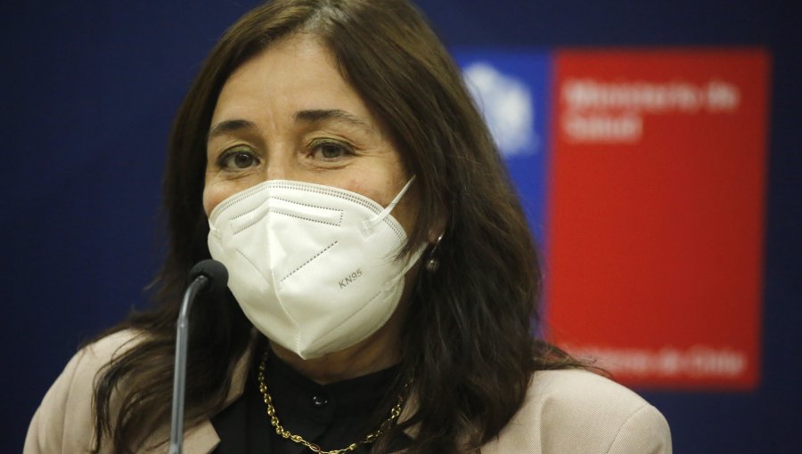 Cámara de Diputados aprueba realizar interpelación a la ministra de Salud por medidas adoptadas ante pandemia del Covid-19
