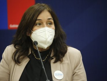 Ministra de Salud abordó la situación de la pandemia del Covid-19 y afirmó que estamos en "una meseta"