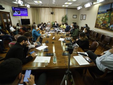 Comisión de Trabajo de la Cámara despachó a Sala el bono invierno de $120 mil y extensión del postnatal de emergencia