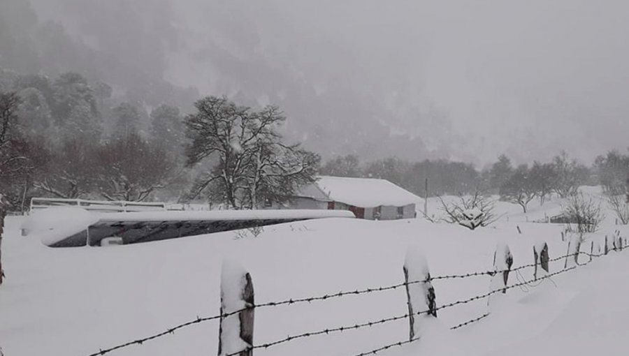 Más de 2 mil personas se encuentran aisladas en la región de La Araucanía debido a las nevazones