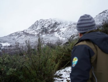 Conaf cierra temporalmente el Parque Nacional La Campana por riesgo de accidentes