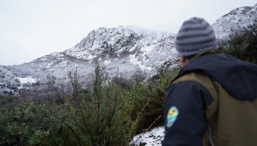 Conaf cierra temporalmente el Parque Nacional La Campana por riesgo de accidentes