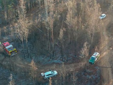 Valparaíso: En sector del Salto del Agua de Placilla hombre cae 150 metros y se encuentra desaparecido