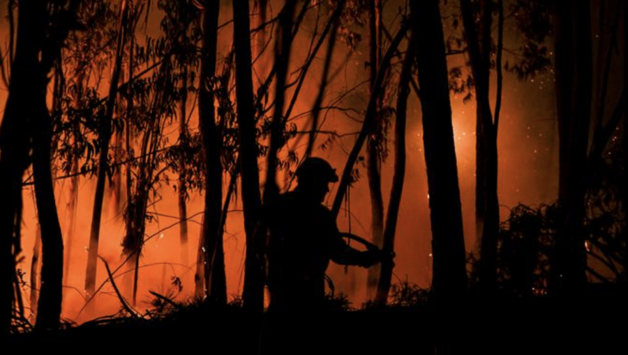 Devastadores incendios forestales no dan tregua a Europa: ola de calor se mantendrá en todo el Mediterráneo